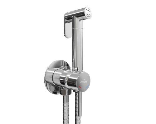 Смеситель с гигиенической лейкой MIXLINE ML31-081 "Ray" встраиваемый (551785)