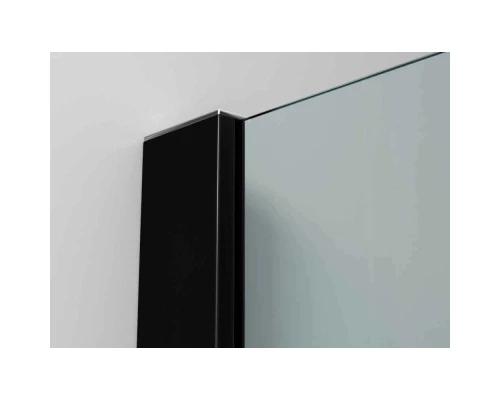 Неподвижная перегородка 120х200 см Ambassador Walk-in 15031233 прозрачное