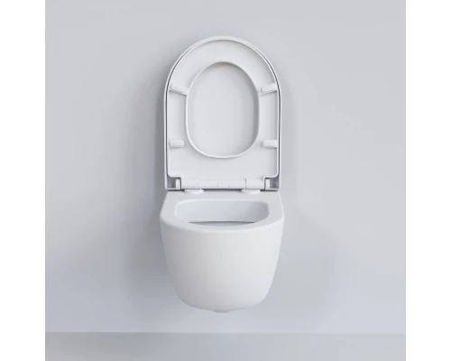 Подвесной безободковый унитаз Ambassador Abner 103T20101R