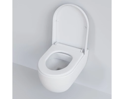 Подвесной безободковый унитаз Ambassador Abner 103T20101R