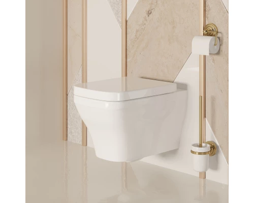 Подвесной безободковый унитаз Ambassador Benefit 203T20001R