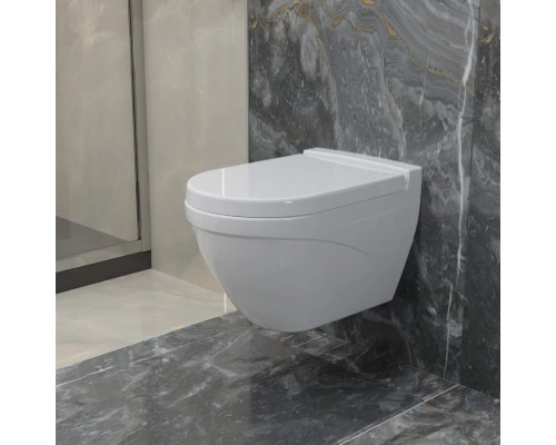 Подвесной безободковый унитаз с сиденьем микролифт Ambassador Nord 133T20001-132T20001