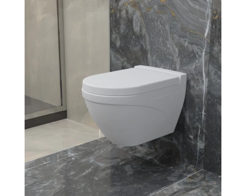 Подвесной безободковый унитаз Ambassador Nord 133T20101