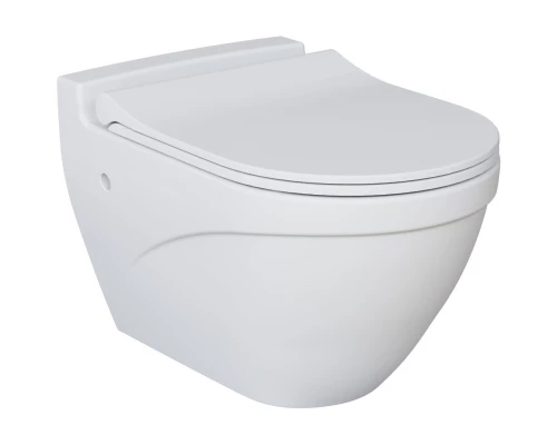 Подвесной безободковый унитаз Ambassador Nord 133T20101