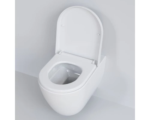 Подвесной безободковый унитаз с сиденьем микролифт Ambassador Queen 113T20001R-112T20001