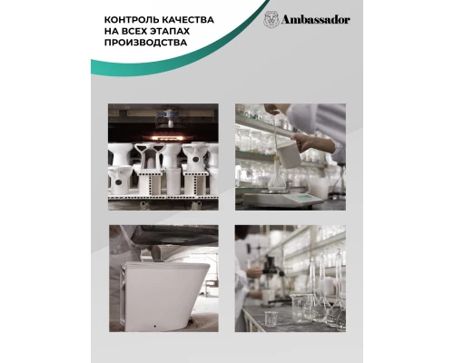 Подвесной безободковый унитаз с сиденьем микролифт Ambassador Forsa 243K19002RS