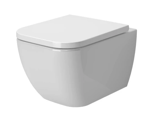 Подвесной безободковый унитаз с сиденьем микролифт Ambassador Forsa 243K19002RS