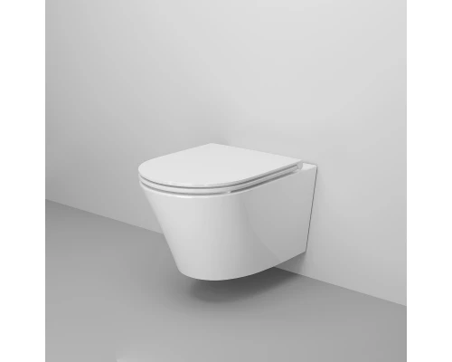 Подвесной безободковый унитаз с сиденьем микролифт Ambassador Ritz 233K19003RS