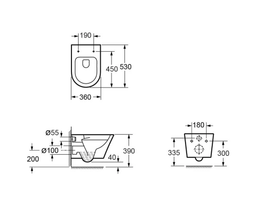 Подвесной безободковый унитаз с сиденьем микролифт Ambassador Ritz 233K19003RS