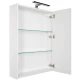 Зеркальный шкаф 64,5x85,1 см белый Aquanet Тулон 00183391
