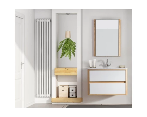 Зеркало 52x80 см клен Belux Альмерия В 60