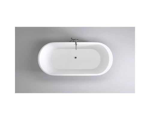 Акриловая ванна 170x80 см Black & White Swan 109SB00