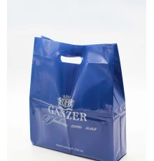 10021-G  Смеситель (САТИН) для кухни "GANZER"  (10/1шт)