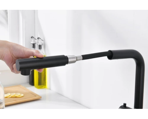 16036-C Смес. од. для кухни с ВЫД. лейкой и подк. ФИЛЬТ. (ЧЕРНЫЙ)  GANZER (10/1шт)