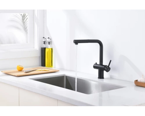 16036-C Смес. од. для кухни с ВЫД. лейкой и подк. ФИЛЬТ. (ЧЕРНЫЙ)  GANZER (10/1шт)