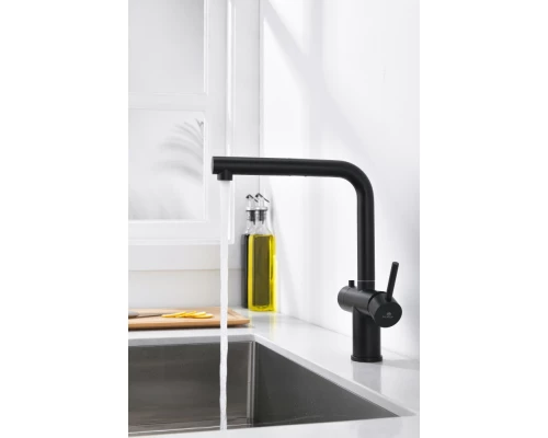 16036-C Смес. од. для кухни с ВЫД. лейкой и подк. ФИЛЬТ. (ЧЕРНЫЙ)  GANZER (10/1шт)