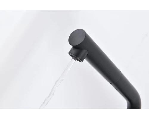 16036-C Смес. од. для кухни с ВЫД. лейкой и подк. ФИЛЬТ. (ЧЕРНЫЙ)  GANZER (10/1шт)