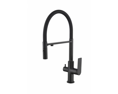 Смеситель для кухни под фильтр с гибким изливом из латуни Ganzer GZ07127-С черный