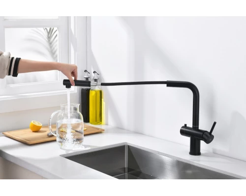 16036-C Смес. од. для кухни с ВЫД. лейкой и подк. ФИЛЬТ. (ЧЕРНЫЙ)  GANZER (10/1шт)