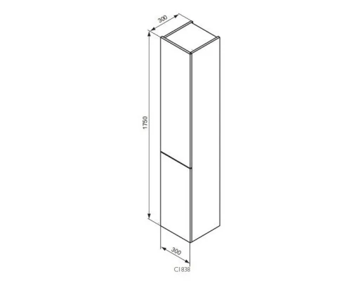 Пенал подвесной белый глянец с 2-мя реверсивными дверцами Ideal Standard Connect C1838WG