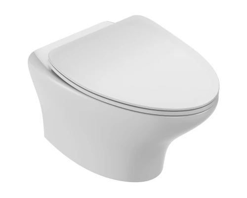 Сиденье для унитаза с микролифтом Jacob Delafon Nouvelle Vague E20069-00