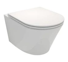 Подвесной безободковый унитаз Jacob Delafon Rodin+ EDY102-00