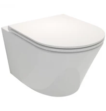 Подвесной безободковый унитаз Jacob Delafon Rodin+ EDY102-00