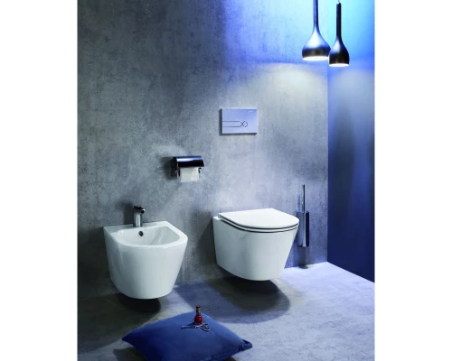 Подвесной безободковый унитаз Jacob Delafon Rodin+ EDY102-00