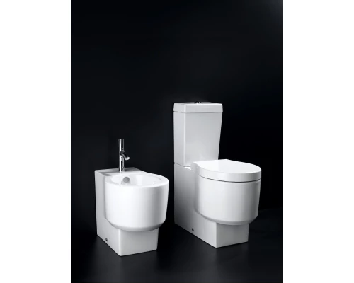 Чаша напольного унитаза Jacob Delafon Formilia Viragio 4449K-00