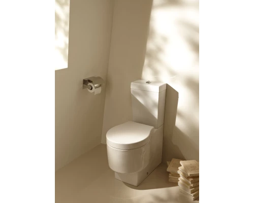 Чаша напольного унитаза Jacob Delafon Formilia Viragio 4449K-00