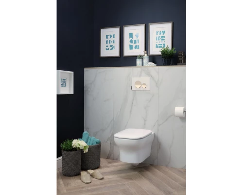 Подвесной безободковый унитаз Jacob Delafon Vox EDM102-00