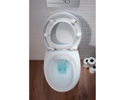 Подвесной безободковый унитаз Jacob Delafon Patio EDV102-00