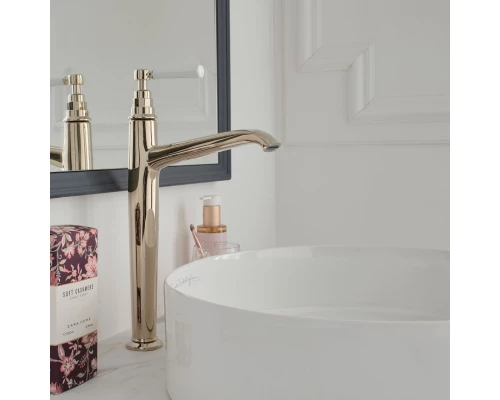 Смеситель для раковины без донного клапана Jacob Delafon Cleo 1889 E24309-BGG