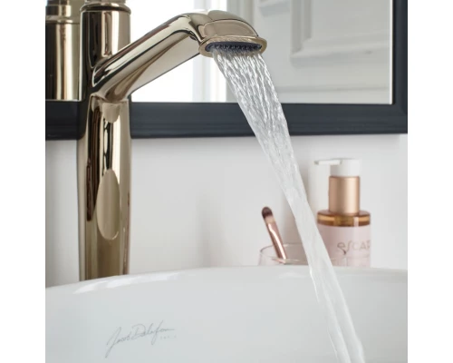 Смеситель для раковины без донного клапана Jacob Delafon Cleo 1889 E24309-BGG