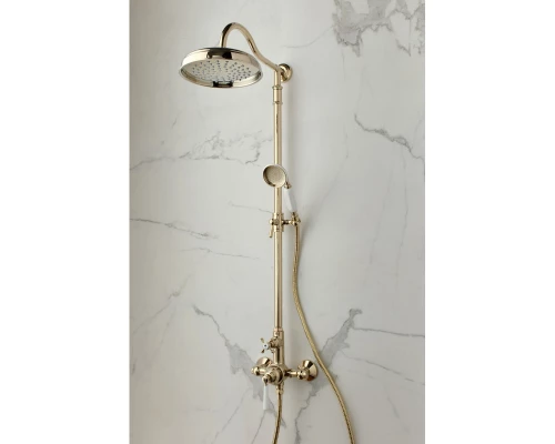 Душевая система 220 мм Jacob Delafon Cleo 1889 E24311-BGG