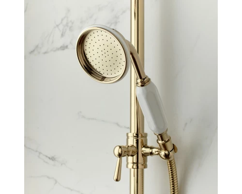 Душевая система 220 мм Jacob Delafon Cleo 1889 E24311-BGG