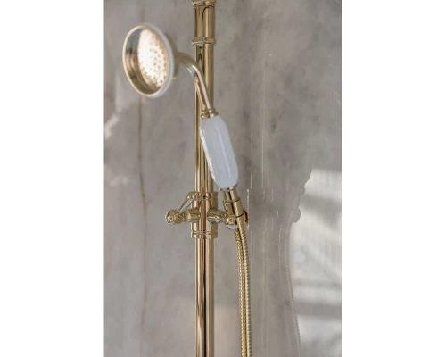 Душевая система 220 мм Jacob Delafon Cleo 1889 E24311-BGG