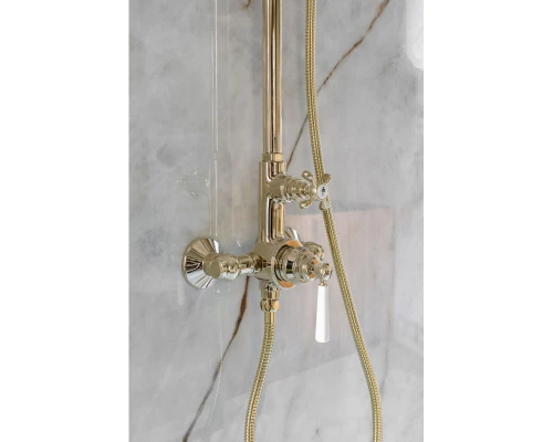 Душевая система 220 мм Jacob Delafon Cleo 1889 E24311-BGG