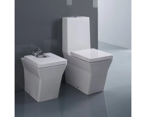 Чаша напольного унитаза Jacob Delafon Reve 5033K-00