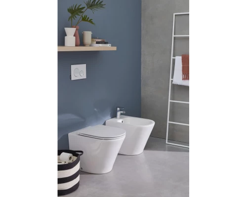 Приставной безободковый унитаз Jacob Delafon Rodin+ EDAA102-00