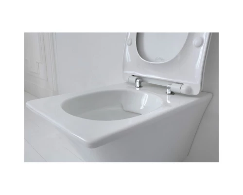 Подвесной безободковый унитаз Jacob Delafon Grands Boulevards EDW102-00
