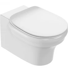 Подвесной безободковый унитаз Jacob Delafon Cleo EDZ102-0