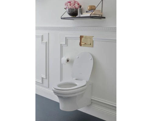 Подвесной безободковый унитаз Jacob Delafon Cleo EDZ102-0