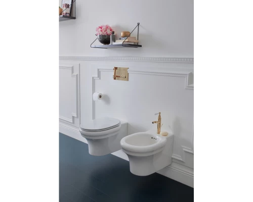 Подвесной безободковый унитаз Jacob Delafon Cleo EDZ102-0