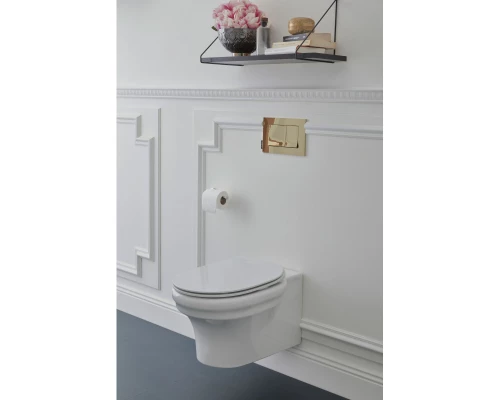 Подвесной безободковый унитаз Jacob Delafon Cleo EDZ102-0