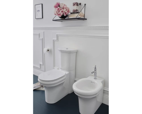 Чаша напольного безободкового унитаза Jacob Delafon Cleo UJAC102-0