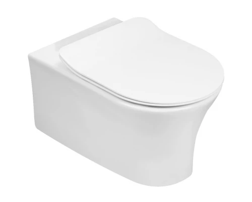 Подвесной безободковый унитаз Jacob Delafon Aleo EDAH132-0