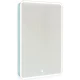 Зеркальный шкаф 45,5x85,5 см бирюзовый бриз R Jorno Pastel Pas.03.46/BL