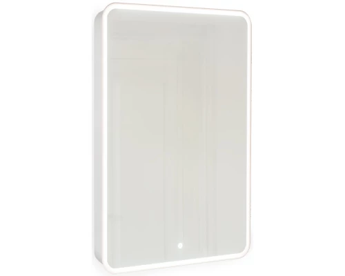 Зеркальный шкаф 45,5x85,5 см французский серый R Jorno Pastel Pas.03.46/GR