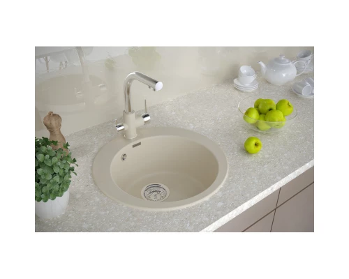 Кухонная мойка Paulmark Gelegen шампань PM404800-CH